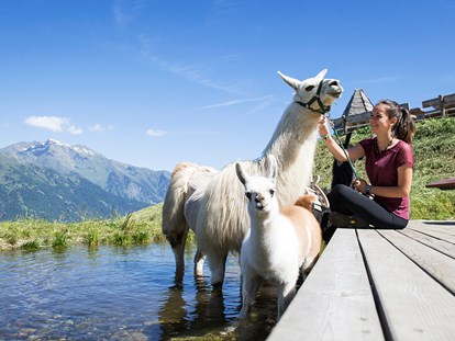 Familienhotel - Naturns bei Meran - Alpakas uns Lamas im Bergzoo - Taser Alm