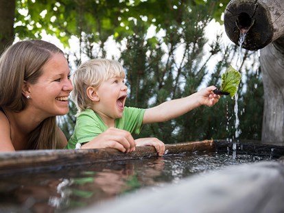 Familienhotel - Naturns bei Meran - Wasserbrunnen - Taser Alm