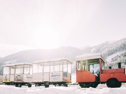 Familienhotel - Kinderhotels Europa - Gratis Bummelzug "Bruno" bringt unsere Gäste zum Skigebiet - Das Original Kinderhotel Stegerhof in der Steiermark