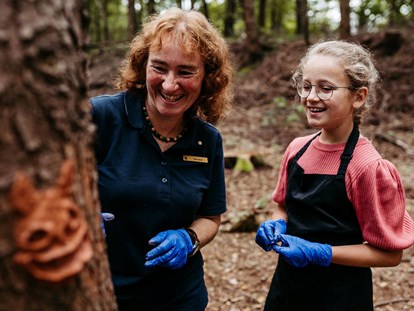 Familienhotel - Bergen (Landkreis Celle) - Kinderbetreuung in der Natur mit speziell entwickeltem Waldprogramm - Familotel Landhaus Averbeck