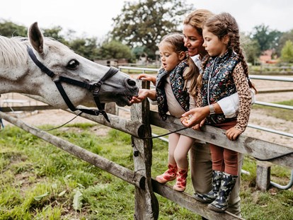 Familienhotel - Wellnessbereich - Pferde und Ponies zum Streicheln und Reiten - Familotel Landhaus Averbeck