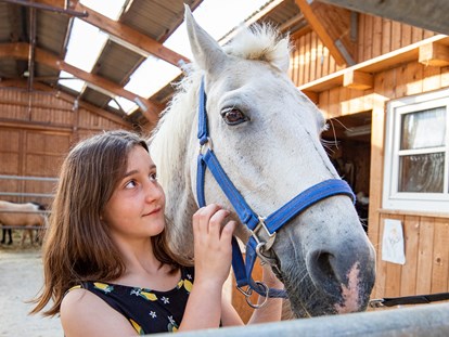 Familienhotel - Wellnessbereich - Ponys - unsere Ponys freuen sich schon, euch kennenzulernen  - Familotel Ottonenhof - Die Ferienhofanlage im Sauerland