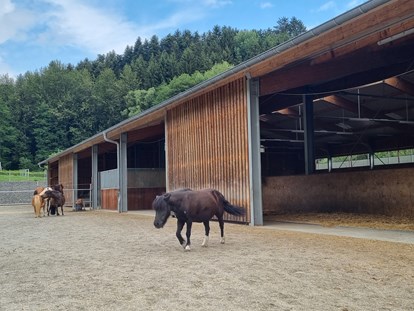 Familienhotel - Ausritte mit Pferden - Familotel Schreinerhof