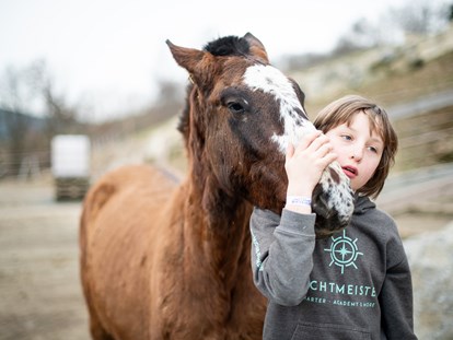 Familienhotel - Teenager-Programm - Auf Tuchfühlung mit unseren Pferden  - Familotel Landhaus zur Ohe
