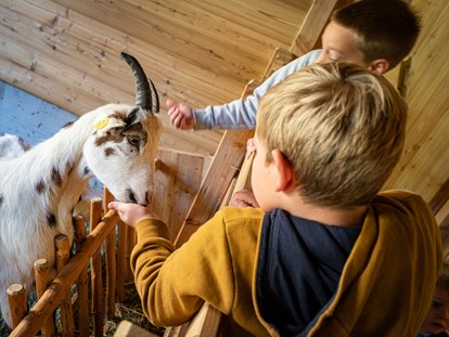 Familienhotel - Kinderbetreuung in Altersgruppen - Der Kleintierbauernhof ist besonders bei Kindern sehr beliebt.  - Familienhotel Oberkarteis