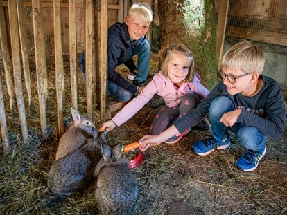 Familienhotel - Wellnessbereich - Der Kleintierbauernhof ist besonders bei Kindern sehr beliebt.  - Familienhotel Oberkarteis