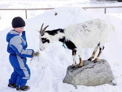 Familienhotel - Kinderbetreuung in Altersgruppen - Auch im Winter wollen die Tiere Futter - Kinderhotel Felben
