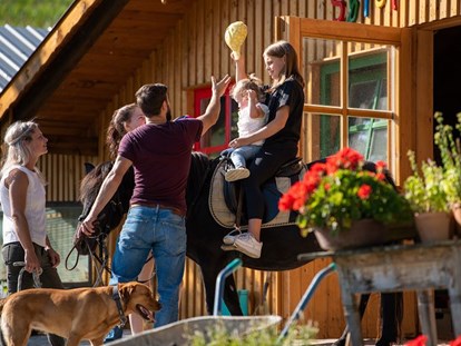 Familienhotel - Kletterwand - Pferdewellness und reiten - Familotel Der Böhmerwald