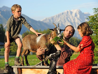 Familienhotel - Tirol - Streichelzoo mit Ziegen und Ponys - Der Stern - Das nachhaltige Familienhotel seit 1509