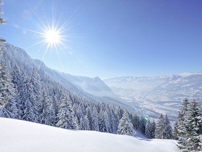 Familienhotel - Skilift - Ein ganzes Land auf einen Blick: Liechtenstein - Gorfion Familotel Liechtenstein
