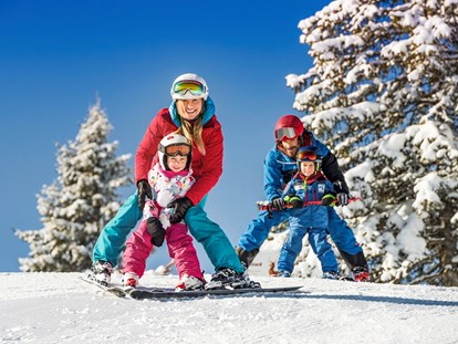 Familienhotel - Wellnessbereich - Skifahren in Ski Amadé - Sonnberg Ferienanlage