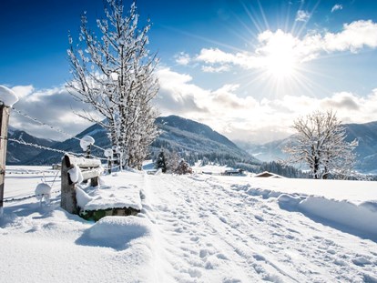 Familienhotel - Umgebungsschwerpunkt: Therme - Winterparadies Flachau - Sonnberg Ferienanlage