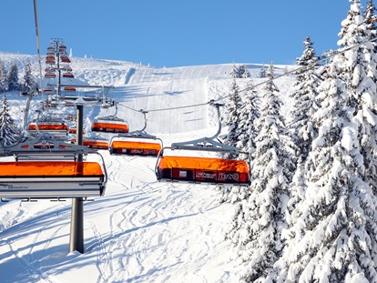 Familienhotel - Gosau - mitten in Ski Amade - Sonnberg Ferienanlage