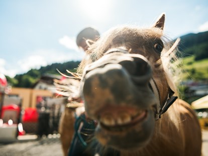 Familienhotel - Wellnessbereich - Pony reiten im Sommer an 6 Tagen/Woche - Kinderhotel Laderhof