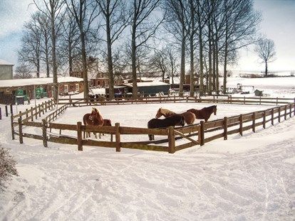 Familienhotel - Wellnessbereich - Auch im Winter ein Vergnügen für die Pferde - Bauer Martin | Ostsee Ferienhof Bendfeldt