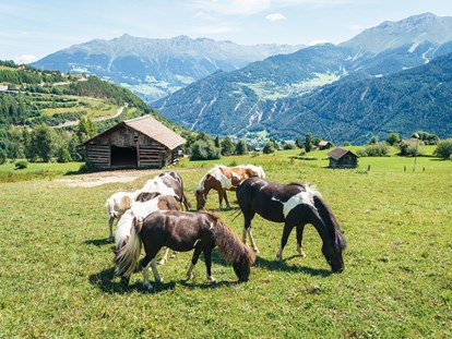 Familienhotel - Tirol - unsere Pony's auf der Koppel - Furgli Hotels