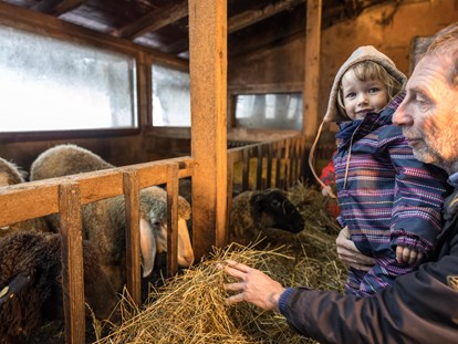 Familienhotel - Preisniveau: exklusiv - Lernen Sie unsere Tiere am Bauernhof kennen... - Alpin Family Resort Seetal