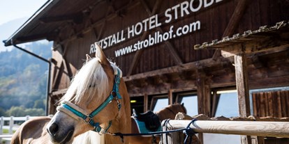 Familienhotel - Meran und Umgebung - Hoteleigener Reiterhof - Stroblhof Active Family Spa Resort