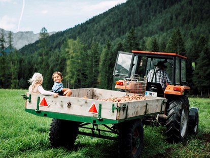 Familienhotel - Tirol - Traktorfahrt - Der Stern - Das nachhaltige Familienhotel seit 1509